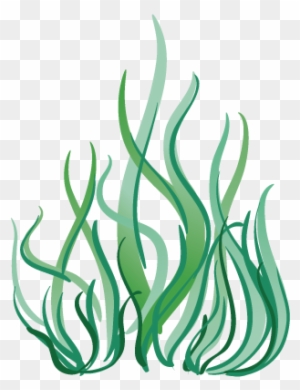 Algae Seaweed Clip Art - Algae Seaweed Clip Art - Free Transparent PNG  Clipart Images Download