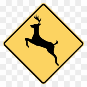 How Do They Get Deer To Cross The Road Only At Those - Run Like An Antelope