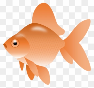 Gold Fish Clipart - Fish Clip Art Png Transparent