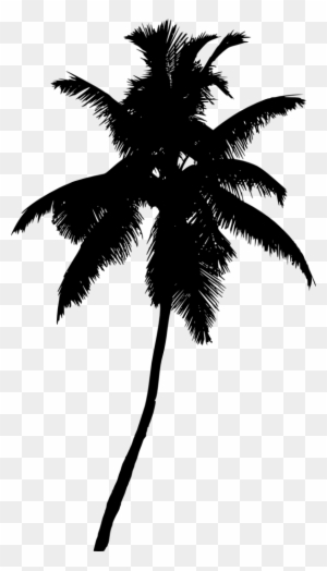 Palm Tree Silhouette Png - Portable Network Graphics