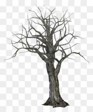 Spooky-tree - Scary Tree Png