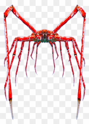 Giant Mutant Spider Crabs Giant Mutant Spider Free Transparent Png Clipart Images Download