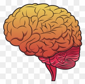 Brain Image - Brain Flat Design