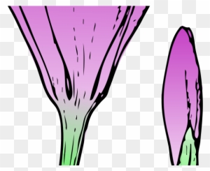 Bud Clipart Clip Art - Crocus Flower
