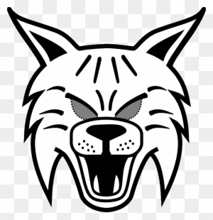 Bobcats Easy To Draw For Kids - Draw A Wildcat Face Easy