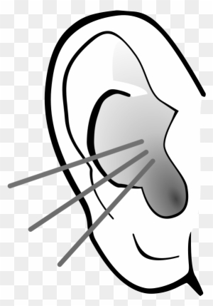 Ears Listening Clipart, Transparent PNG Clipart Images Free Download -  ClipartMax