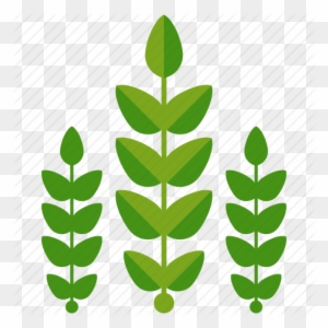 Agriculture, Crop, Crops, Farm, Farming, Leaves Icon - Farm Crop Icon