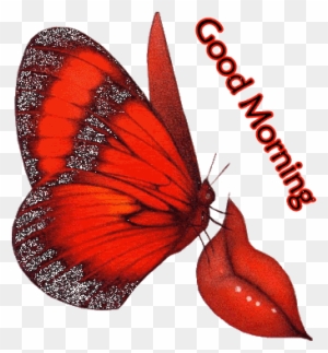 Good Morning Love Gif Animation - Good Morning Love Gif - Free Transparent  PNG Clipart Images Download