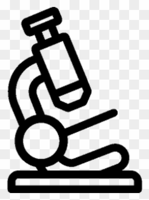 light microscope drawing easy with pencil