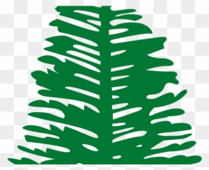 Drawn Fir Tree Norfolk Pine - Flag Of Norfolk Island Tile Coaster