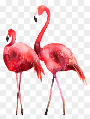 Flamingo Poster Printmaking Illustration - Flamingo Illustration