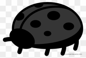 Ladybug Animal Free Black White Clipart Images Clipartblack - Ladybug Clip Art