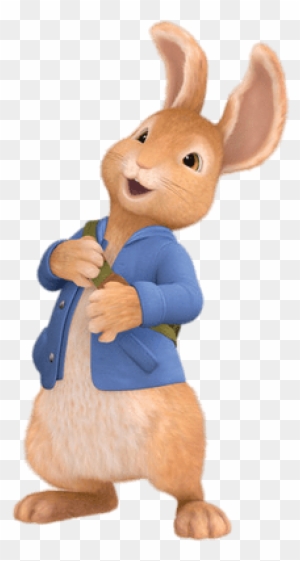 2017 Peter Rabbit Tale Of Peter Rabbit Free Transparent PNG Clipart 