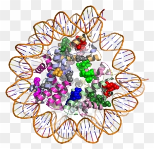 The Hotspot3d Computational Tool Models How Gene Mutations - 3d Protein Structure