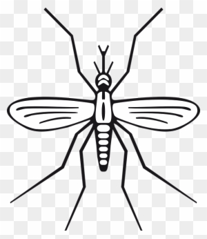Mosquito Drawing Stock Illustrations  4102 Mosquito Drawing Stock  Illustrations Vectors  Clipart  Dreamstime