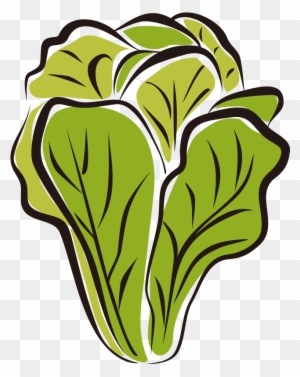 Lettuce Clipart Lettuce Clip Art 4 Clipartandscrap - Head Of Romaine ...