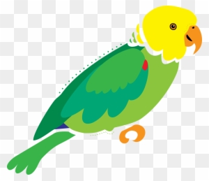 Abstracted Color Parrot - Parrot Illustration