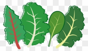 Herb Leaf Vegetable Plant Stem Seed - Home Farmer Super Greens Seed Kit