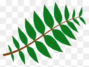 Branch Leaves, Plant, Green, Nature, Twig, Branch - Leaf Clip Art