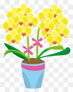 鉢植え04 胡蝶蘭イラスト Phalaenopsis Aphrodite Free Transparent Png Clipart Images Download