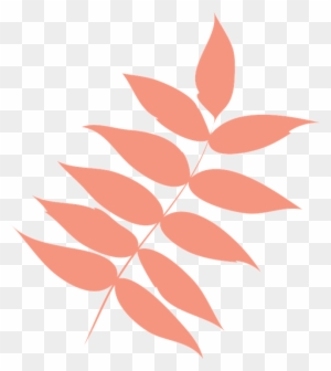 Free Vector Graphic - Autumn Leaves Png Icon