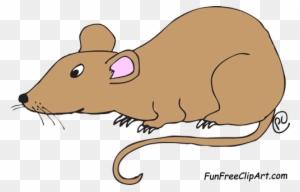 Laboratory White Rat Scientist Vector Cartoon Vector - Clipart Picture Of Rat