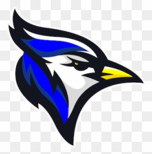 Norton Bluejays Free Transparent Png Clipart Images Download