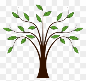 Forest Leaves Nature Plant Png Image - Cartoon Tree With Branches