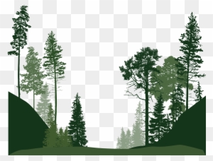 Forest Euclidean Vector Tree - Forest Tree Vector Png