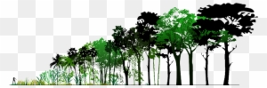 Forests - Horizontal Ecological Structures Of British Woodland