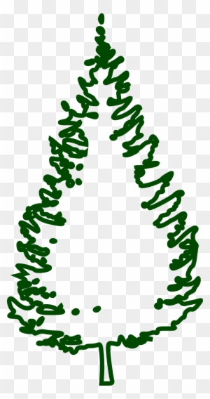 Fir Tree Conifer Tree Forest Png Image - Fir Tree Outline