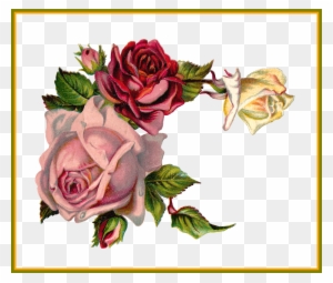 Best Antique Digital Flower Pink Rose Corner Design - Corner Vintage Roses