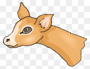 Animal Head, Eyes, Deer, Big, Cute, Animal - Deer Face Cartoon