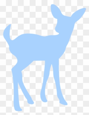 White-tailed Deer