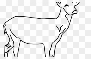 Outline Drawings Of Animals - Deer Clip Art