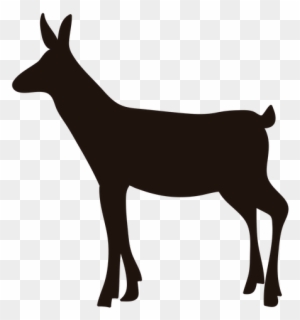 Download Free Photo Report Donkey Svg Free Transparent Png Clipart Images Download