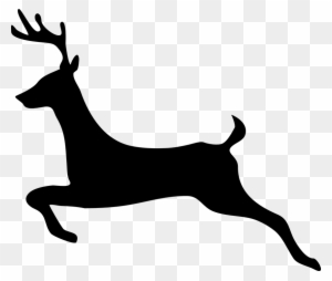 Deer, Stag, Animal, Hoofed, Cervus, Jump - Deer Clip Art