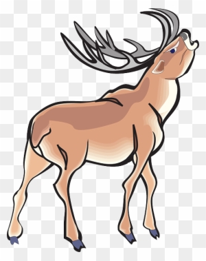 Antlers Angry, Deer, Wild, Art, Animal, Antlers - Angry Deer Clipart