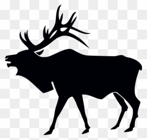 Illegal - Washington State Elk Shed