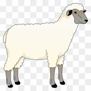 Farm Animals Sheep Clipart