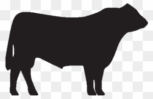 Angus bull clip art charming question Something also Angus bull clip art