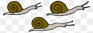 Free Vector Snails Clip Art - Snails Clipart