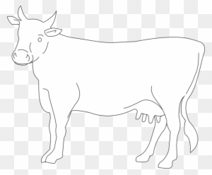 Cow Drawing Side View