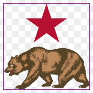 Awesome Symbols Of California Yahoo Image Results Public - New California Republic Flag