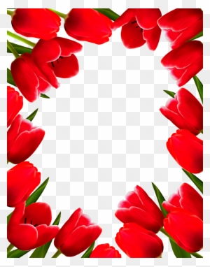 Tulip Flower Picture Frame Clip Art - Border Design Flower Rose