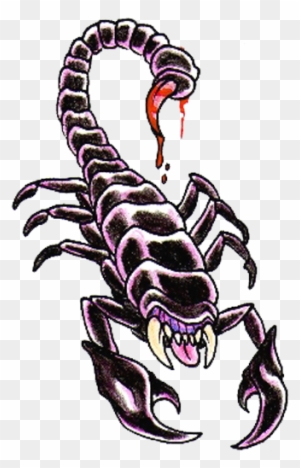 Scorpion Tattoos Png Clipart - Scorpion Tattoo Designs - Free Transparent  PNG Clipart Images Download