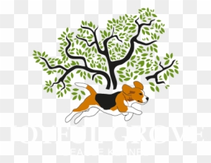 Logo - Big Tree Small Axe