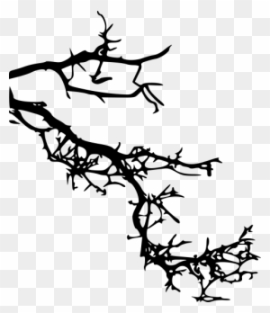 Free Png Tree Branch Png Images Transparent - Portable Network Graphics