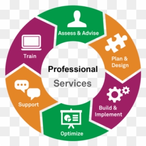 Professional Services And Support - Professional Services Vs Consulting
