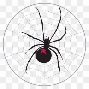 Black, Spider, Web, Widow, Legs, Arachnid - Free Black And White Clip Art Black Widow